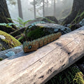 dolibarr:2424:BCL-AF-RPH-CBOG-Chibi Bush Viper 9in - Orange-Blue-GreenSF-Photoroom.jpg:sha256=1ead945ae546