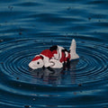dolibarr:1627:BCL-AF-RPH-KOI-KoiSQ-Photoroom.jpg:sha256=ca43b0214305