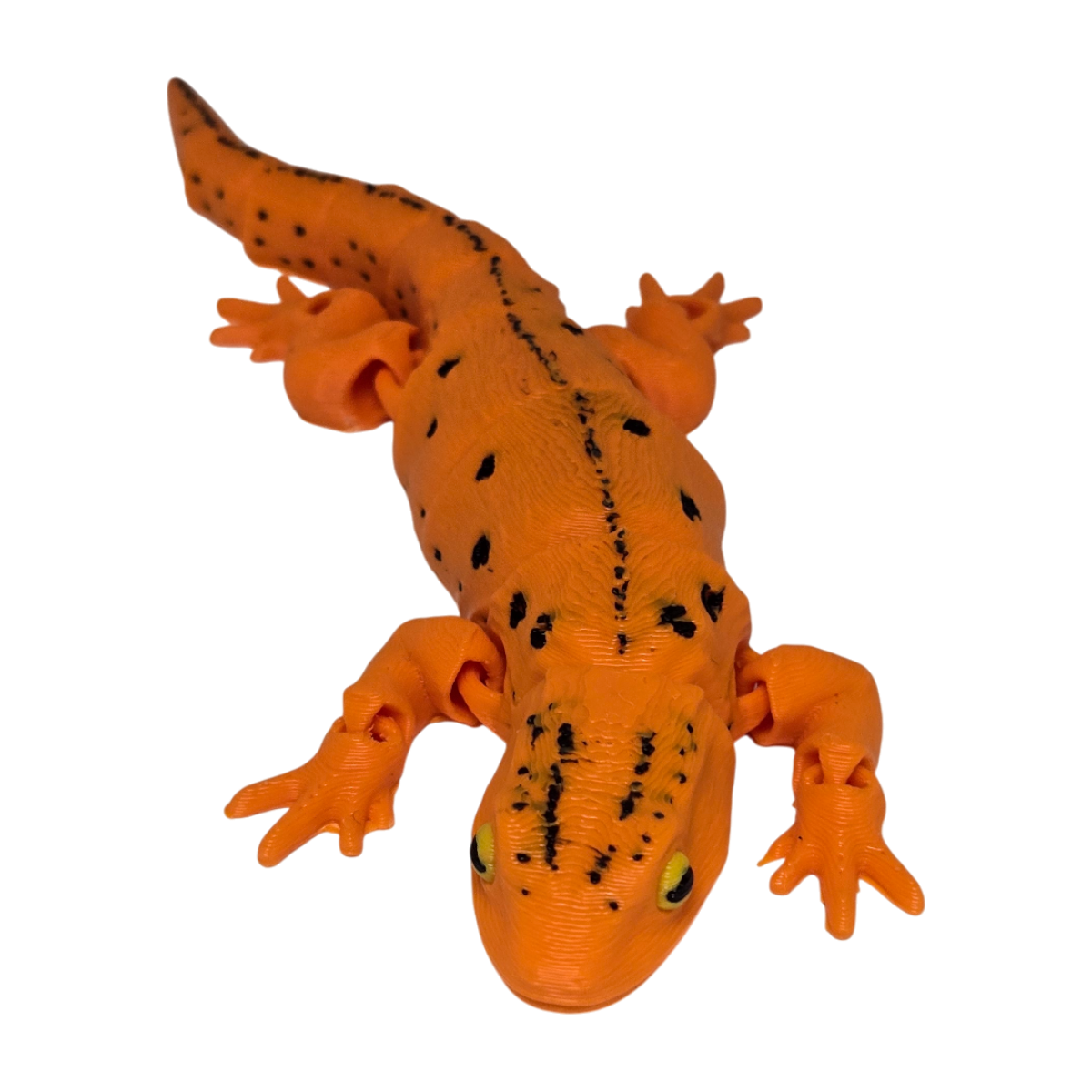 dolibarr:1896:BCL-AF-RPH-ORNT-20260117_164336-Photoroom.png:sha256=f52727d278e4