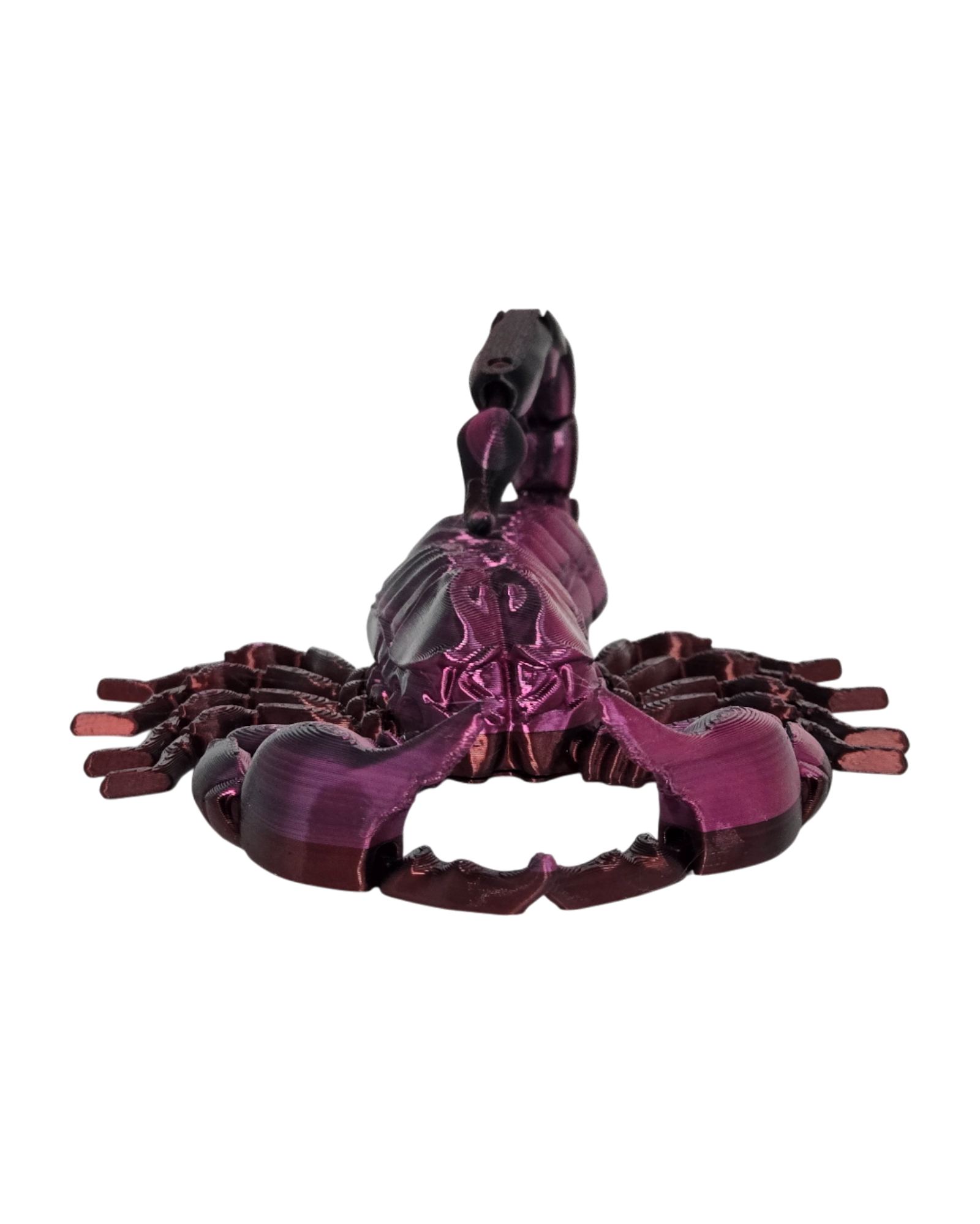 dolibarr:1938:BCL-AF-RPH-SCEV-20260202_144658-Photoroom.png:sha256=faef99a16e1c