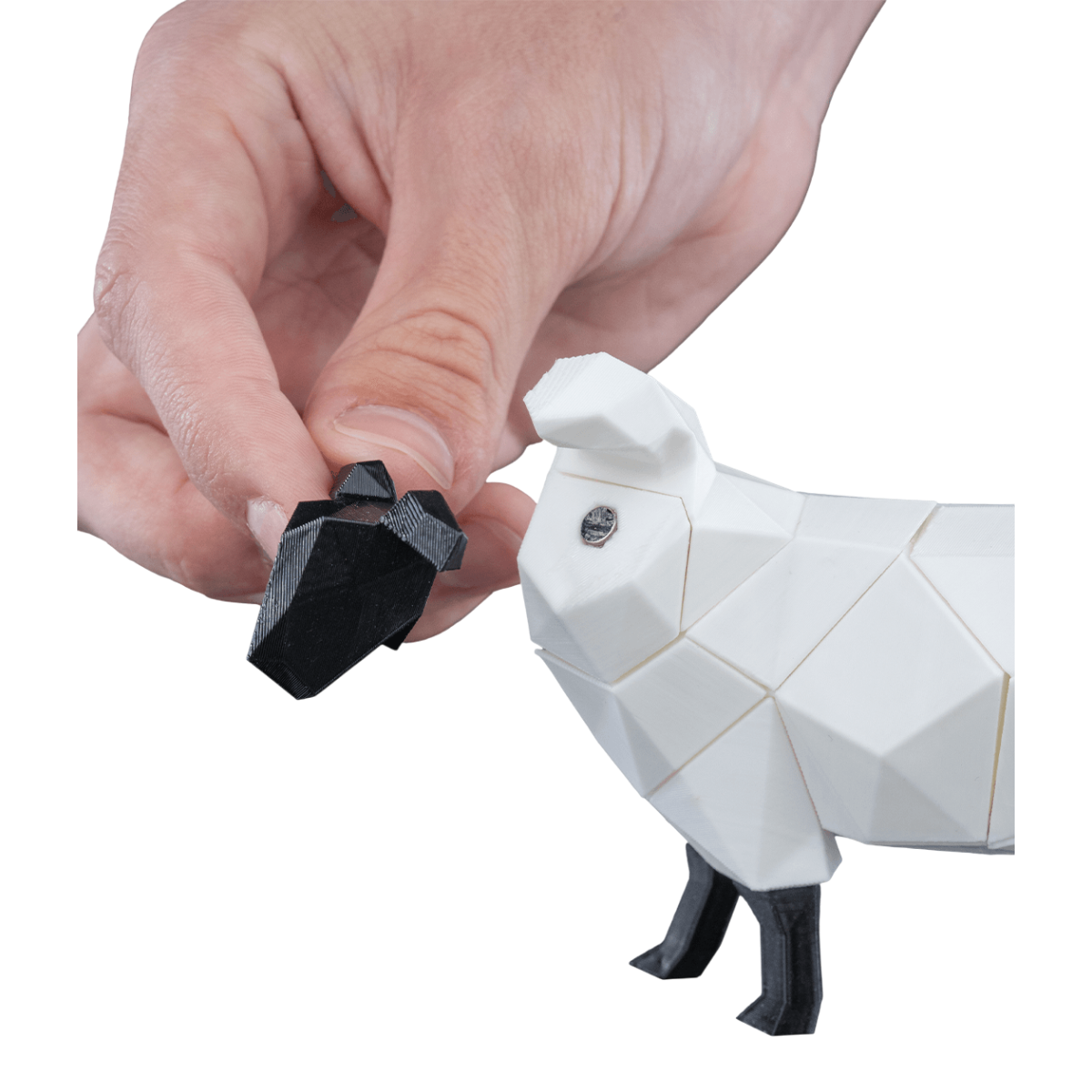 dolibarr:1608:BCL-TF-SNT-PSHP-Low_Poly_Sheep_WB_2_222b7f215a-Photoroom.png:sha256=ebaa3760debe
