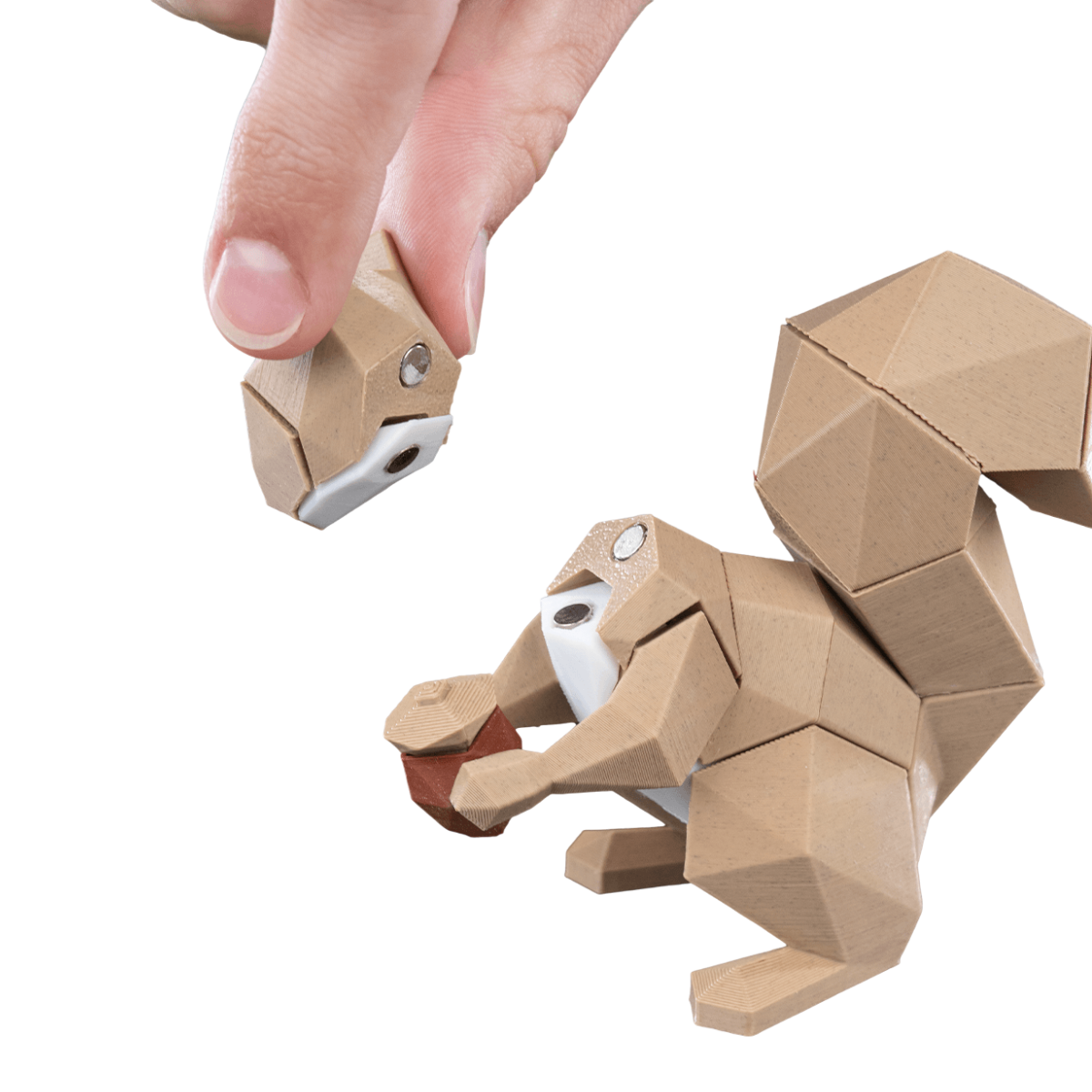 dolibarr:1604:BCL-TF-SNT-PSQL-Low_Poly_Squirrel_WB_2_e8233bfc73-Photoroom.png:sha256=590ba36b1ef8