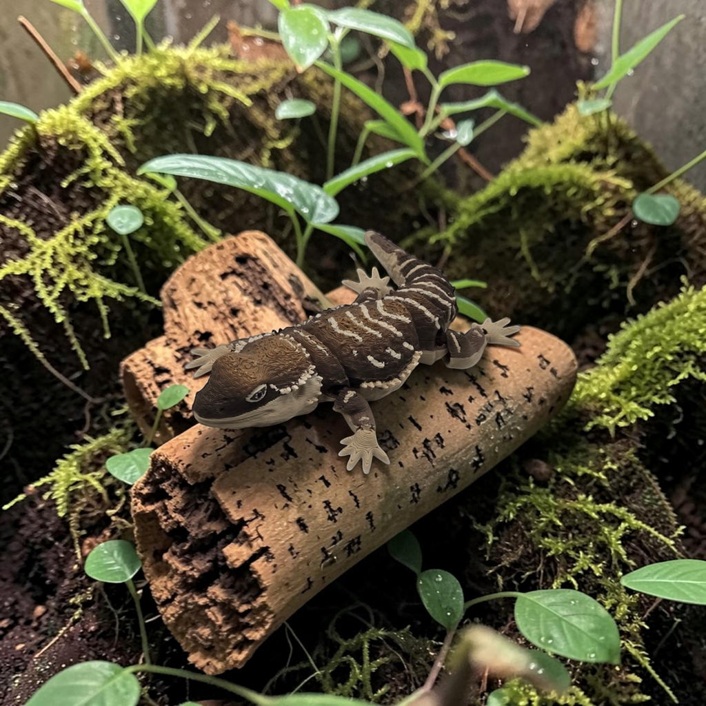 dolibarr:2330:Bearded Dragon 2048x2048-Photoroom.jpg:sha256=d0d22e64e8e1aa26c14ce323654add0c61aff2384380da98db14cddc753a66c9