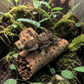 dolibarr:2330:Bearded Dragon 2048x2048-Photoroom.jpg:sha256=d0d22e64e8e1aa26c14ce323654add0c61aff2384380da98db14cddc753a66c9