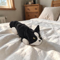 dolibarr:1328:Black Tuxedo Flexi 2048x2048-Photoroom.jpg:sha256=4bc7058ccd183cd1473ba29b3ef1a94f7e7dc5ccbe34b8271c9088bd3054084a