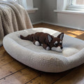 dolibarr:1076:Chihuahua Flexi 2048x2048-Photoroom.jpg:sha256=f6a13978bac4465ae59d9266301dfb8a8b97ea7782c6db527431333771061ea1
