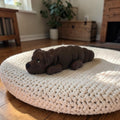 dolibarr:1052:Chocolate Lab Flexi 2048x2048-Photoroom.jpg:sha256=ca1ddc892bc63042dcc1aa30a5701fc27e677b427c0690afd5966dcfb0b96076
