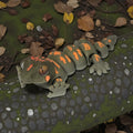 dolibarr:1864:Day Gecko 2048x2048-Photoroom.jpg:sha256=ee1d8de95877b30266117dc36524e7bfc8291dada6335428091134b71b6427f6
