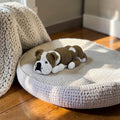 dolibarr:1026:English Bulldog Flexi 2048x2048-Photoroom.jpg:sha256=5a38ea99409b50bcb3a30fc514a35ac862c68873c38211d7c926e606c31f2ab5