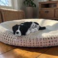dolibarr:927:German Shorthair Flexi 2048x2048-Photoroom.jpg:sha256=2478d8134dfad59d731ac23f360d0a72a837917c01e89dc56b30e65b400388a8