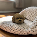 dolibarr:1054:Golden Doodle Flexi 2048x2048-Photoroom.jpg:sha256=1aec151b69daaf8c121e8aebb9234388e7bac2925c9ba3a464b303098c3cbbe0