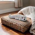 dolibarr:941:Great Pyrenees Flexi 2048x2048-Photoroom.jpg:sha256=ef1be64d979d2f5f23c174c8c14520b1a44d3bc48d2b998890859a6feca050be