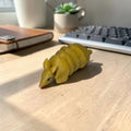 dolibarr:1662:Nano Armadillo SF-Photoroom.jpg:sha256=209197b52366b467465a41af822cdbf182a0b89f7dbe535c44ba5136bd82b7e2