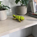 dolibarr:1424:Nano Chameleon SF-Photoroom.jpg:sha256=e359622b0d90d4dd8d9ff9b17cff90f7c930452cc0be9478c30fda51fba7ce7c