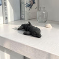 dolibarr:1305:Nano Dolphin SF-Photoroom.jpg:sha256=7543c99cf13fc7e148900ec26a5f9583263b1e947fcf361483772a8921db43f0