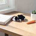 dolibarr:2160:Nano Floppy Eared Bunny SF-Photoroom.jpg:sha256=7529d72219c64ea61116f48788009555579003e9ab519c48678bb645f96dcb7d