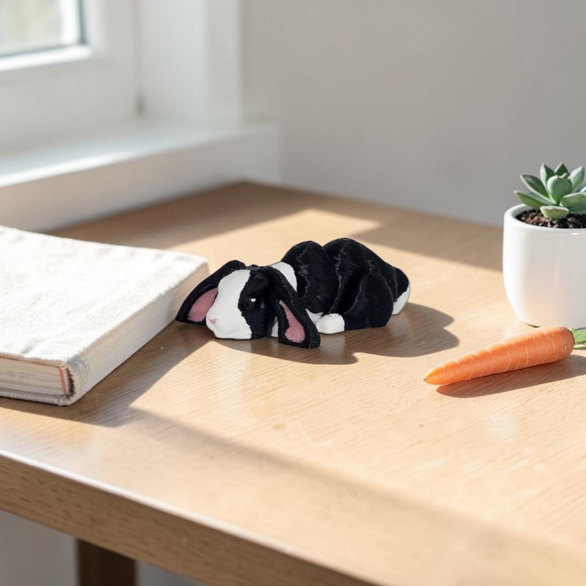 dolibarr:2160:Nano Floppy Eared Bunny SF-Photoroom.jpg:sha256=7529d72219c64ea61116f48788009555579003e9ab519c48678bb645f96dcb7d