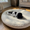 dolibarr:976:Poodle Flexi 2048x2048-Photoroom.jpg:sha256=c980de570e65d1475f397246c59610c509abc8a35ff7f2052a9c0d22e10bd7ec