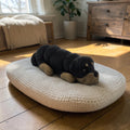 dolibarr:1001:Rottweiler Flexi 2048x2048-Photoroom.jpg:sha256=94a2b12e3babfa59ab89bb04d8f972a5ace00d6c80711ac66b984745864bf590