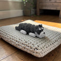 dolibarr:975:Schnauzer Flexi 2048x2048-Photoroom.jpg:sha256=5da340a00e1bfe8b86063677d3c4d1849b6a752a67d1e07f8a5624d62ec9e91a