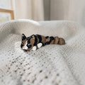 dolibarr:2190:Tortoiseshell Flexi 2048x2048-Photoroom.jpg:sha256=b6bb9f1006458f36ffe5399b6c48497f499048dfd0b069860a2c418217d04e45